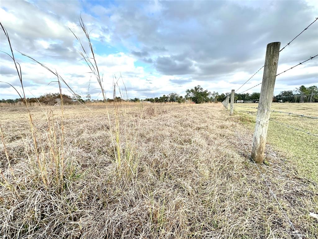 14780 Sugarbowl Road Myakka City, FL 34251 - Photo 3 of 53