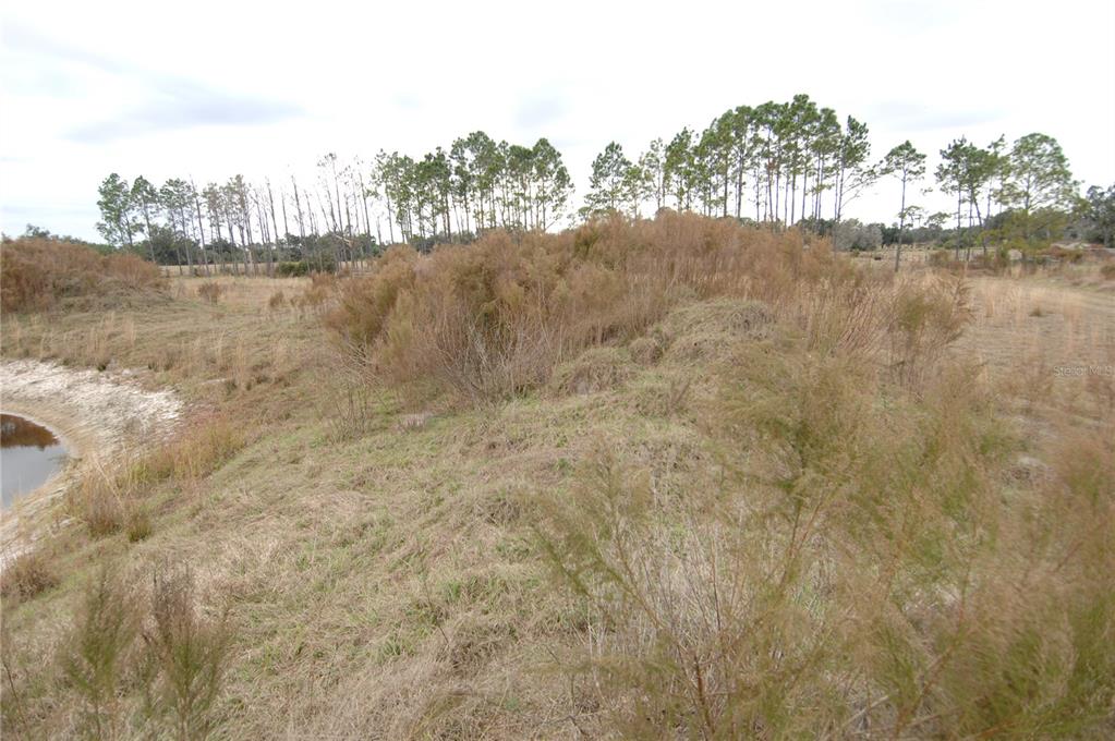 14780 Sugarbowl Road Myakka City, FL 34251 - Photo 43 of 53 a view of lake
