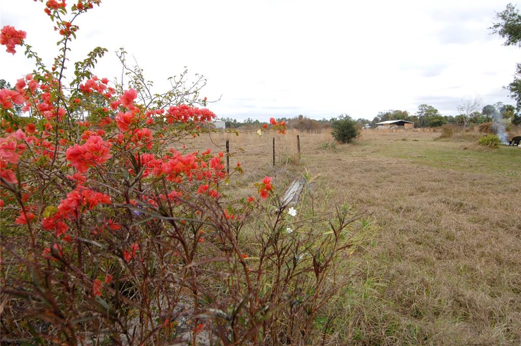 14780 Sugarbowl Road Myakka City, FL 34251 - Photo 51 of 53