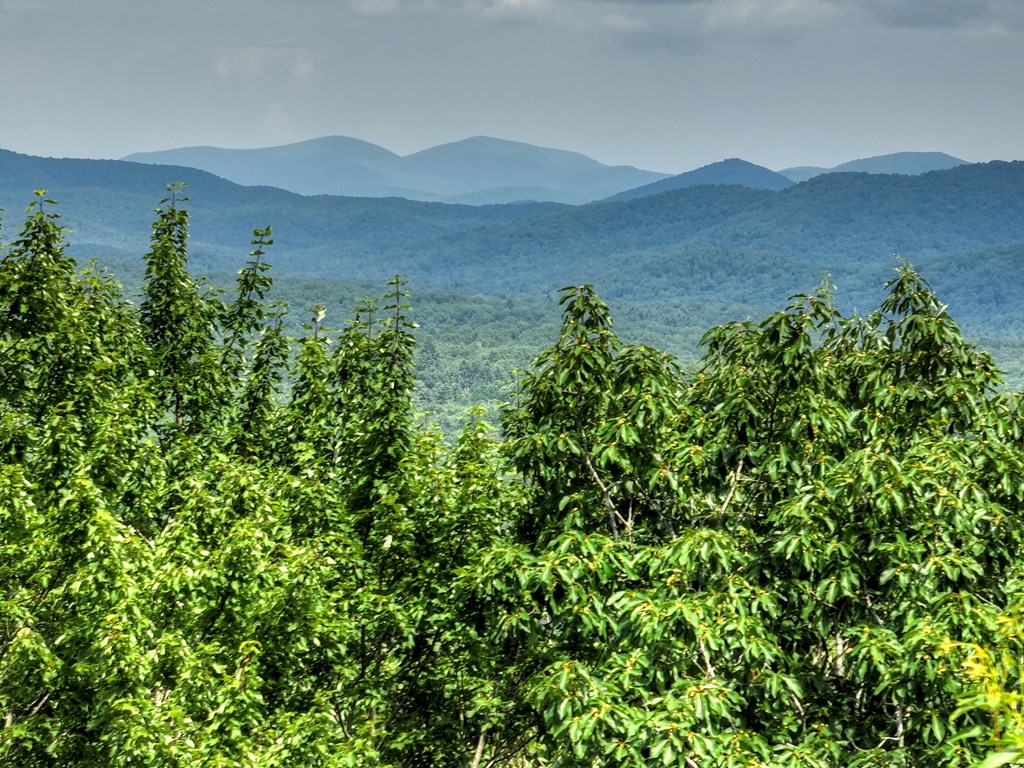 417 Bill Claypool Drive Blue Ridge, GA 30513 - Photo 56 of 73