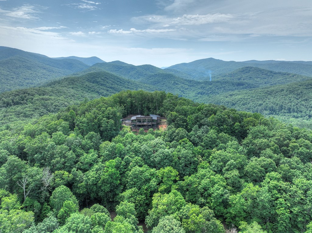 417 Bill Claypool Drive Blue Ridge, GA 30513 - Photo 63 of 73 a view of a mountain in the distance in a field