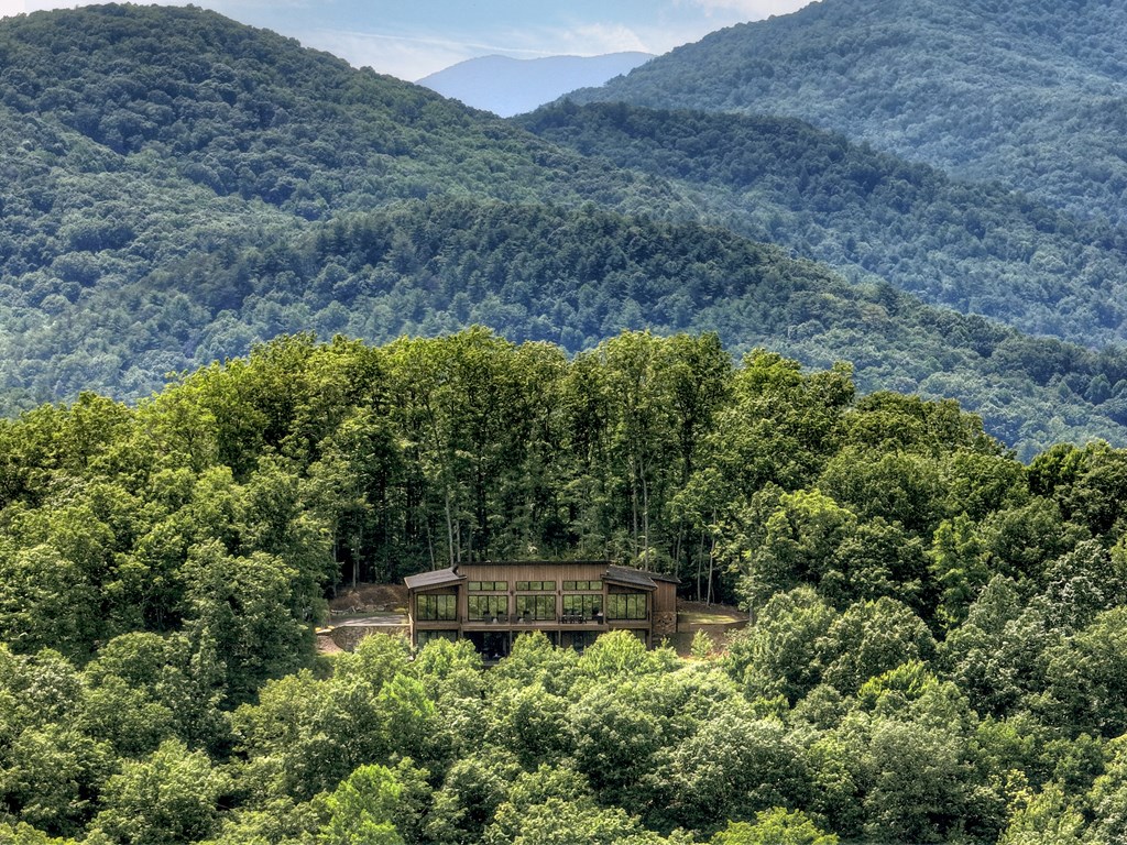 417 Bill Claypool Drive Blue Ridge, GA 30513 - Photo 64 of 73 a view of house with a yard
