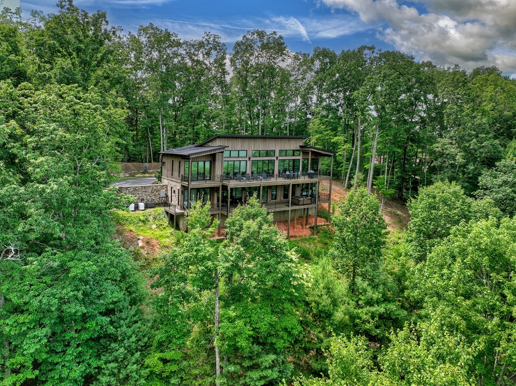 417 Bill Claypool Drive Blue Ridge, GA 30513 - Photo 66 of 73 an aerial view of a house with a yard