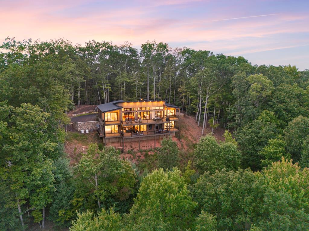 417 Bill Claypool Drive Blue Ridge, GA 30513 - Photo 67 of 73