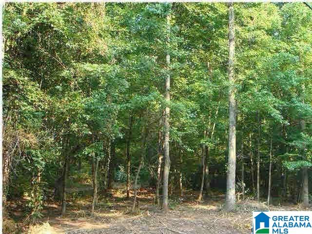 0 Lester Doss Road, Unit 1 Warrior, AL 35180 - Photo 1 of 1