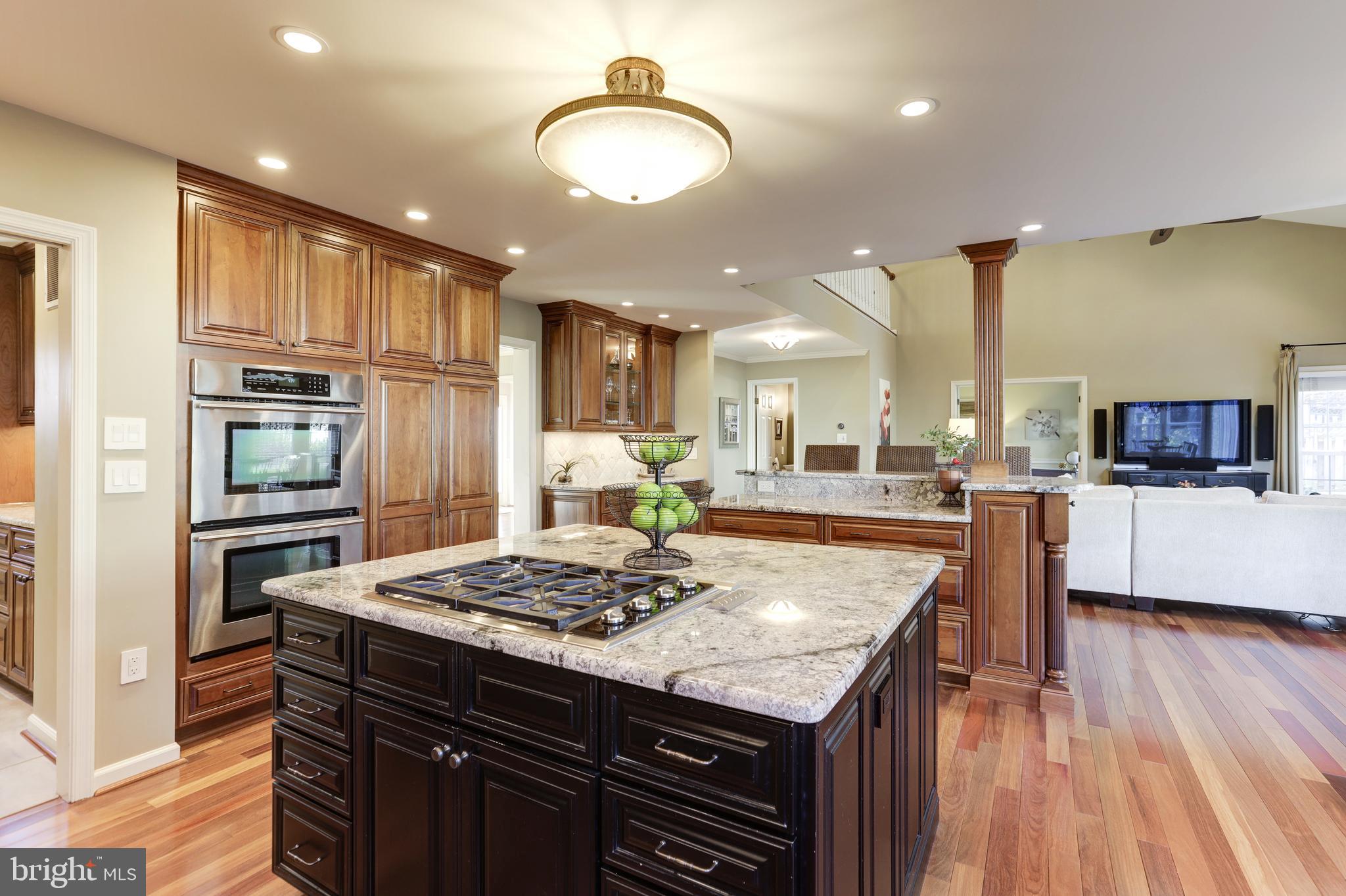 13304 Scotsmore Way Herndon, VA 20171 - Photo 16 of 56 Kitchen Opens to Family Room