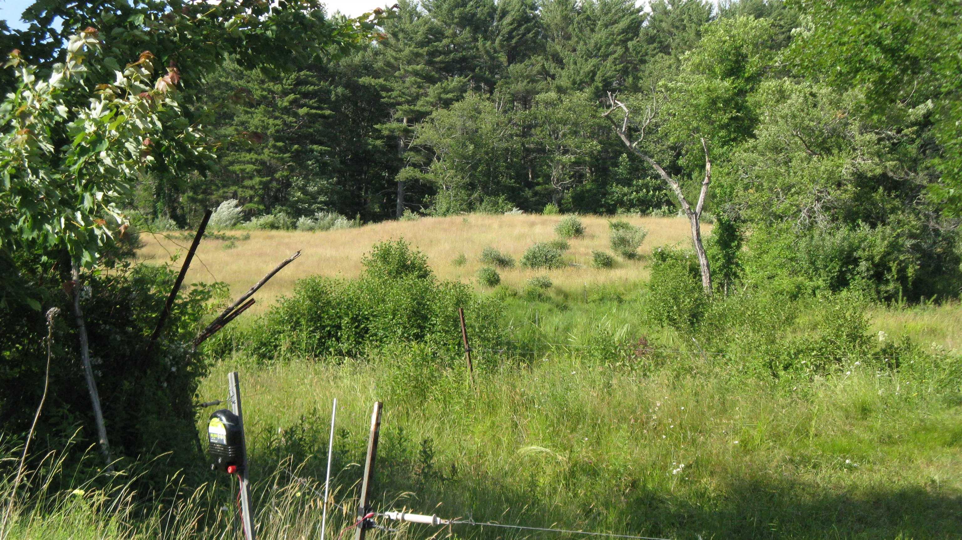 80 New Durham Road Alton, NH 03809 - Photo 9 of 33