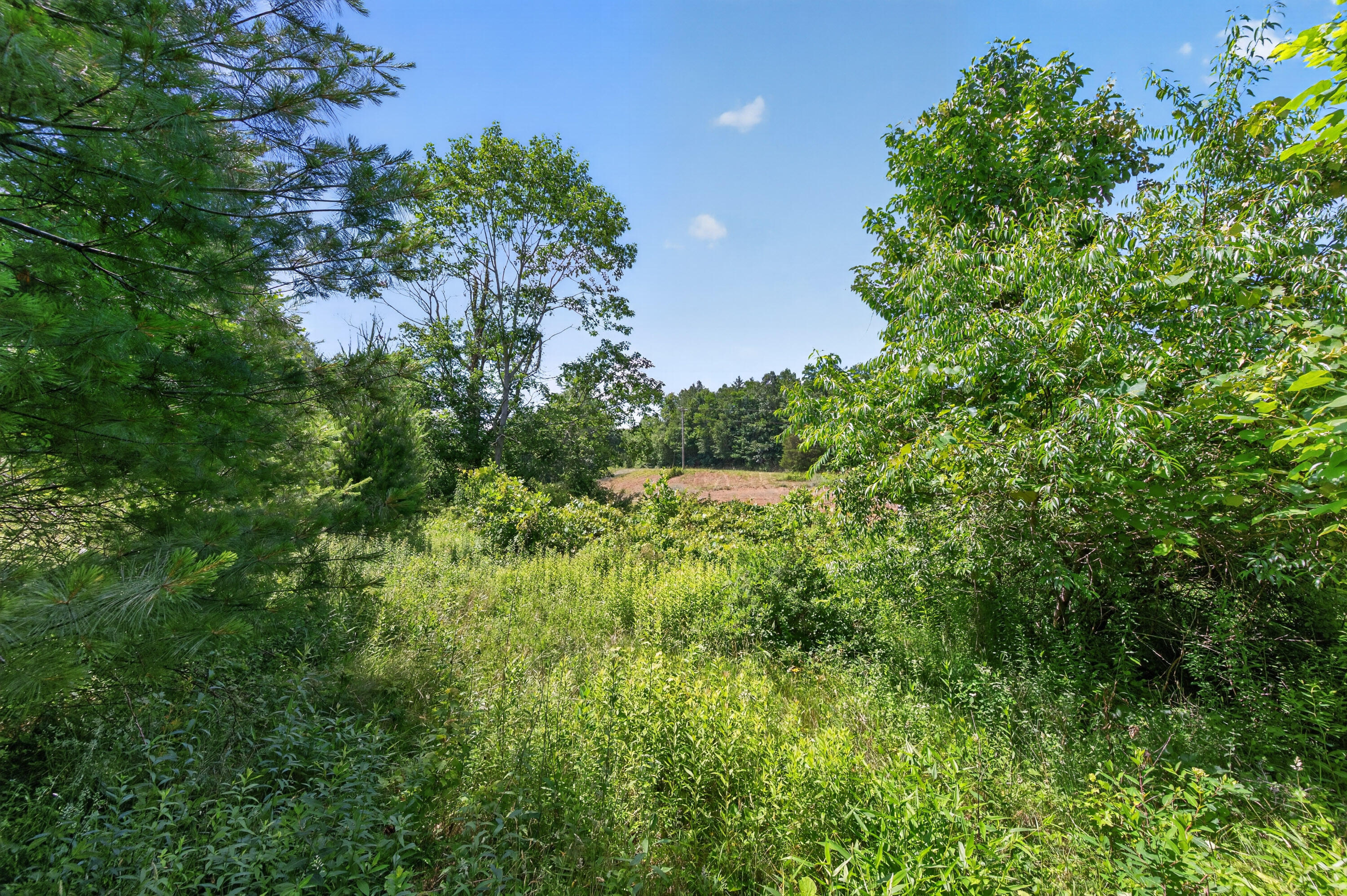 6196 Chances Creek Road Fancy Gap, VA 24328 - Photo 48 of 78 49