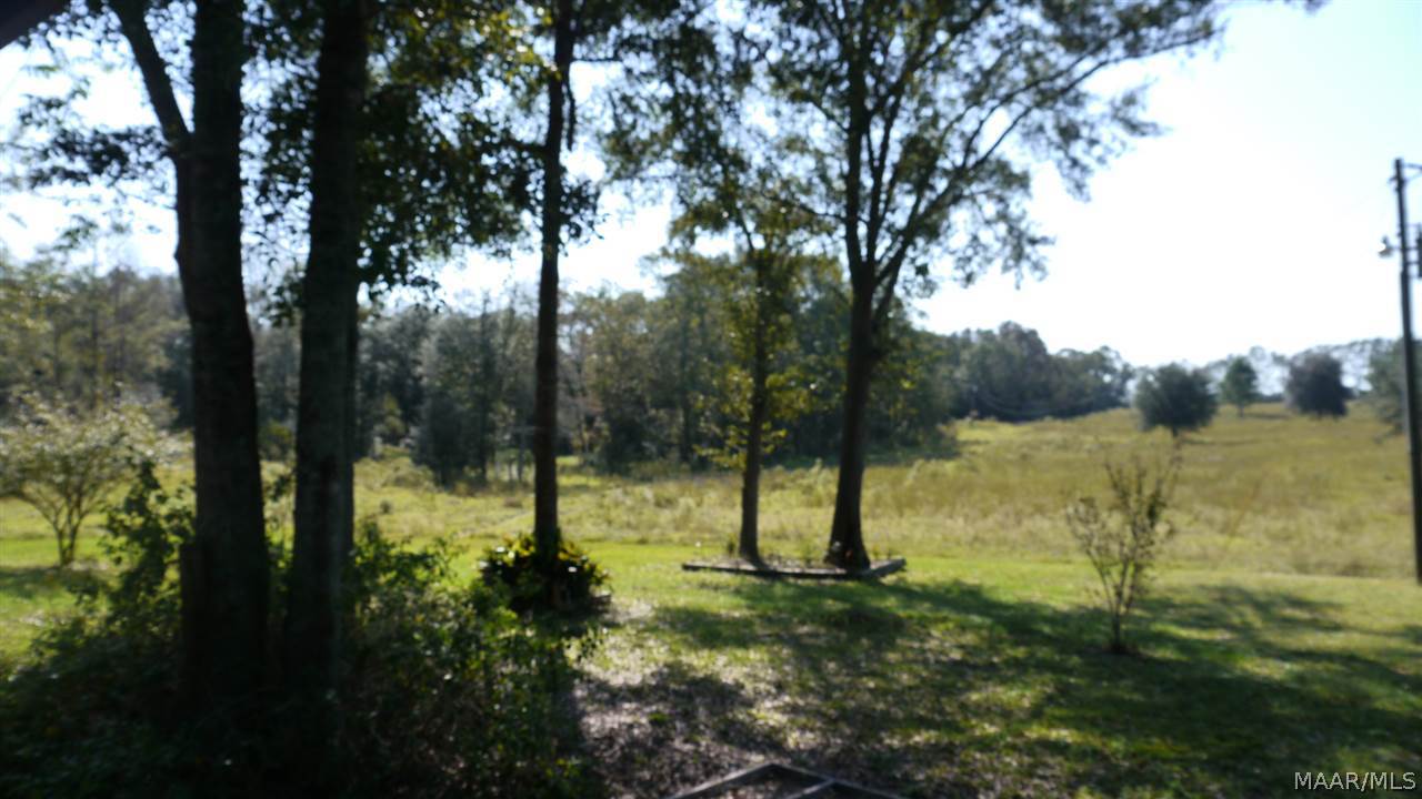 7868 State Highway Samson, AL 36477 - Photo 28 of 36 Gallery Image 28