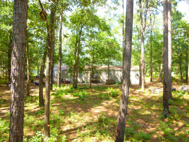 245 Winding Road Moncks Corner, SC 29461 - Photo 22 of 22 P1050338