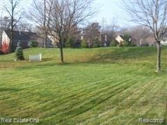 Open Rear Yard