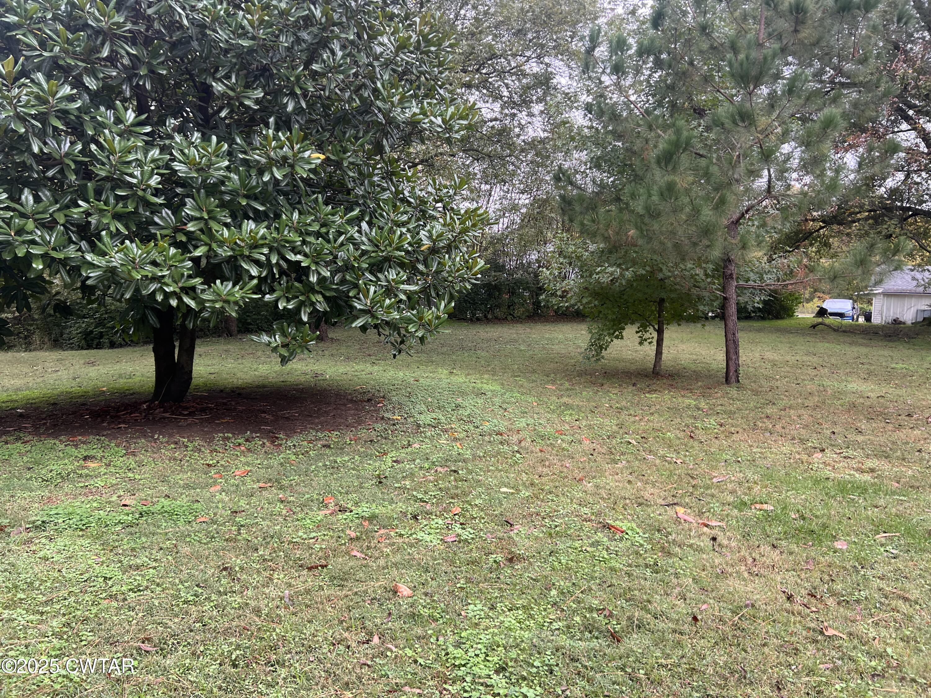 117 South Main Street Gibson, TN 38343 - Photo 9 of 40 a view of yard with tree