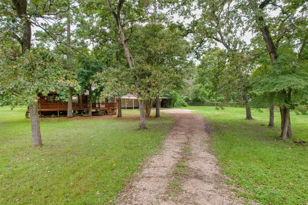 a huge green field with lots of trees