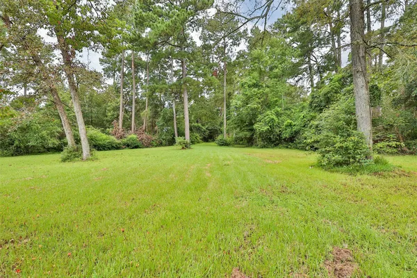 a view of a garden with trees