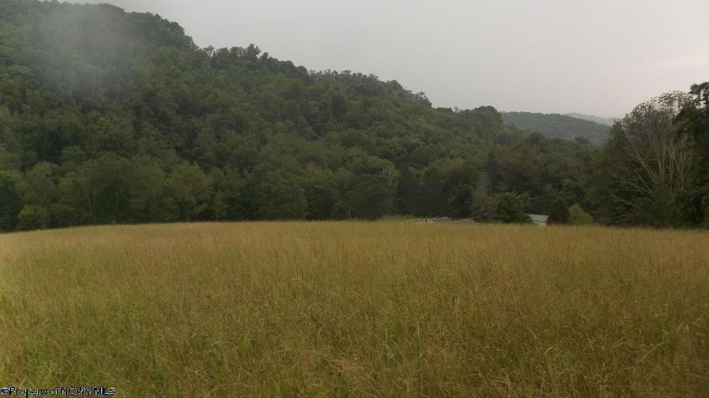 Stone Lick Road Jane Lew, WV 26378 - Photo 3 of 9 Gallery Image 3