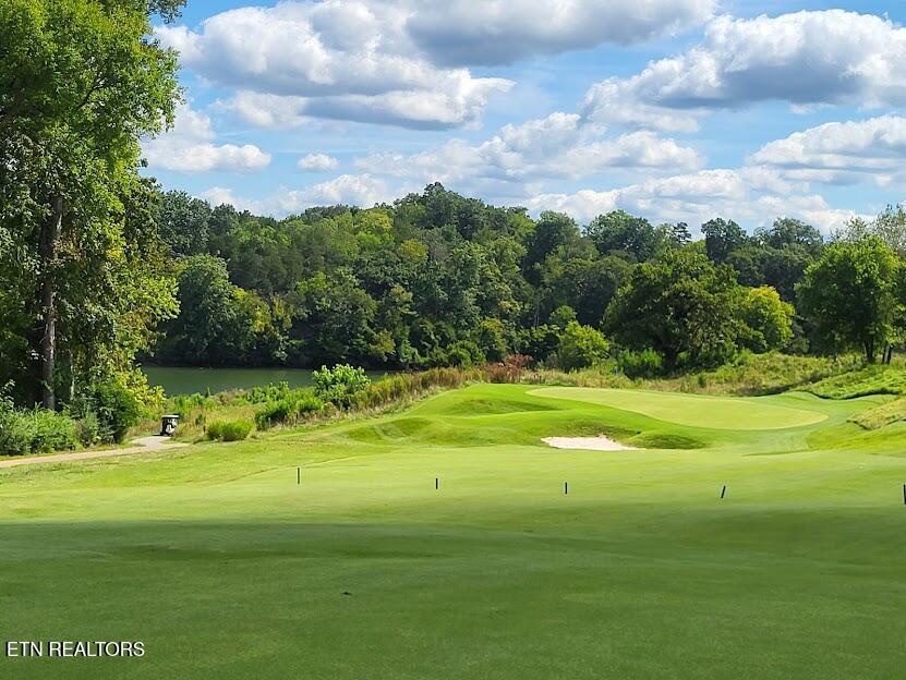 2601 Clyde Ed Road Kodak, TN 37764 - Photo 6 of 10 IMG_7639