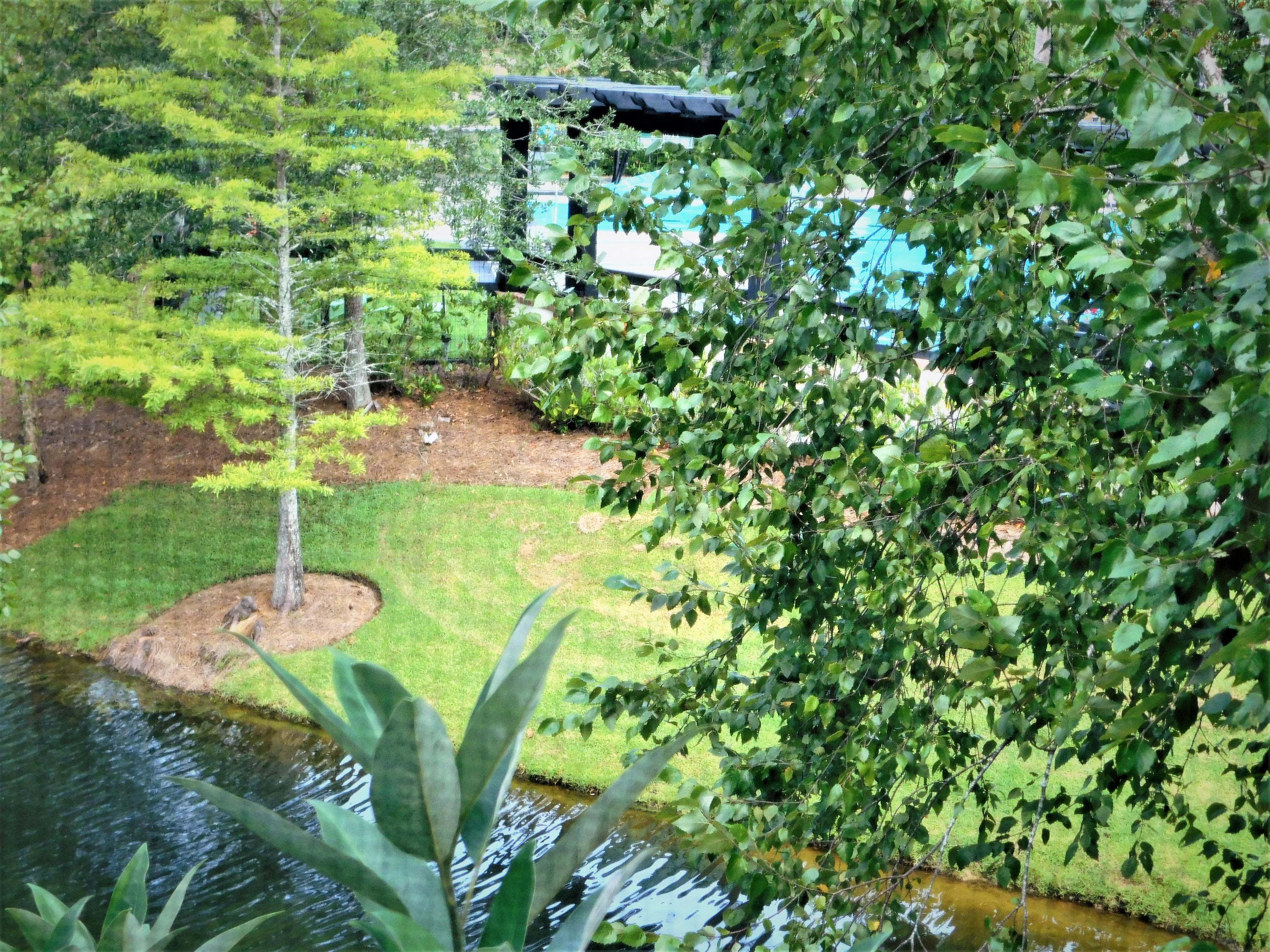 1911 Basildon Road, Unit 1911 Mount Pleasant, SC 29466 - Photo 13 of 36 DSCN7714