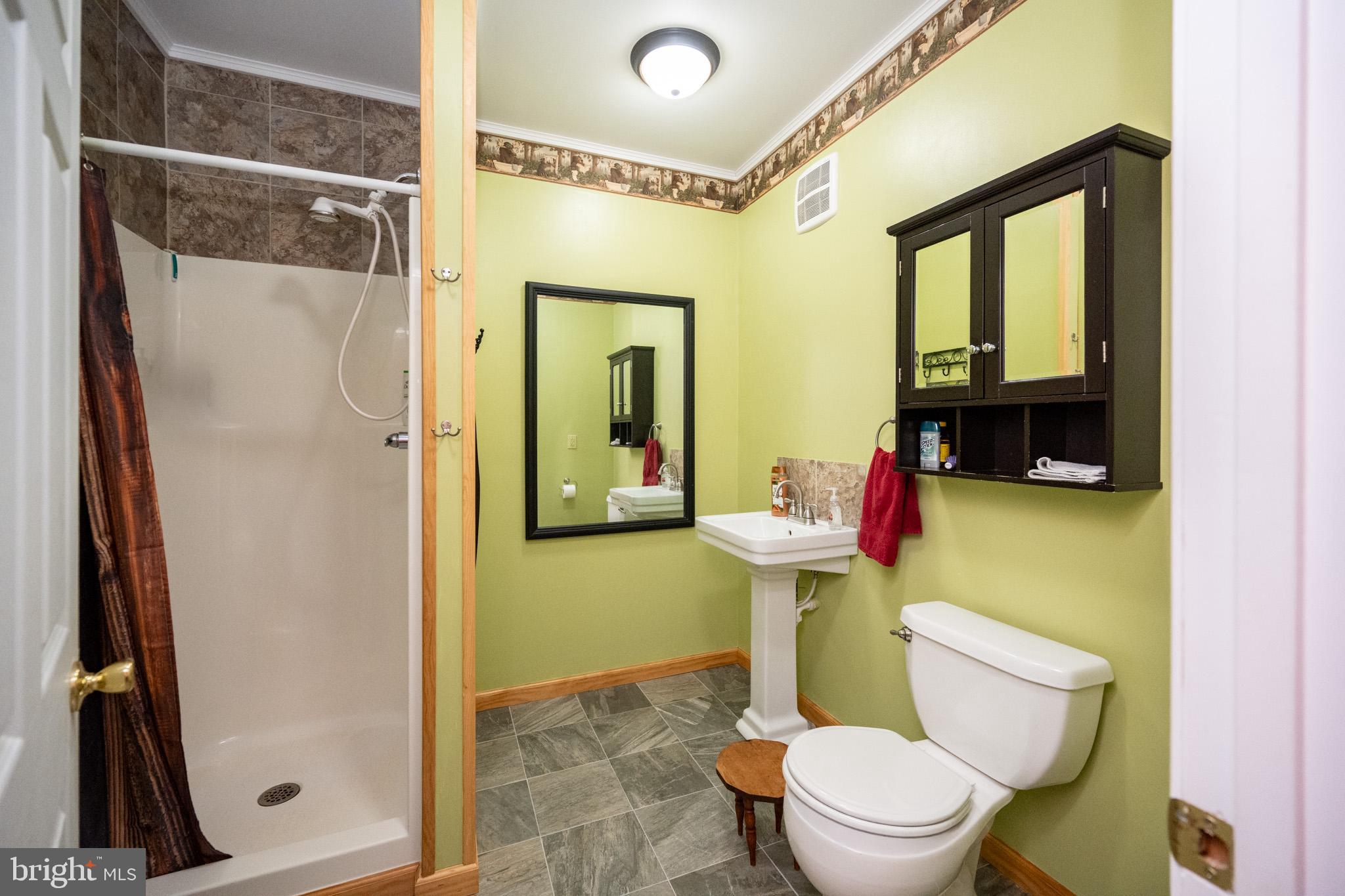 4076 Blooming Rose Road Friendsville, MD 21531 - Photo 48 of 69