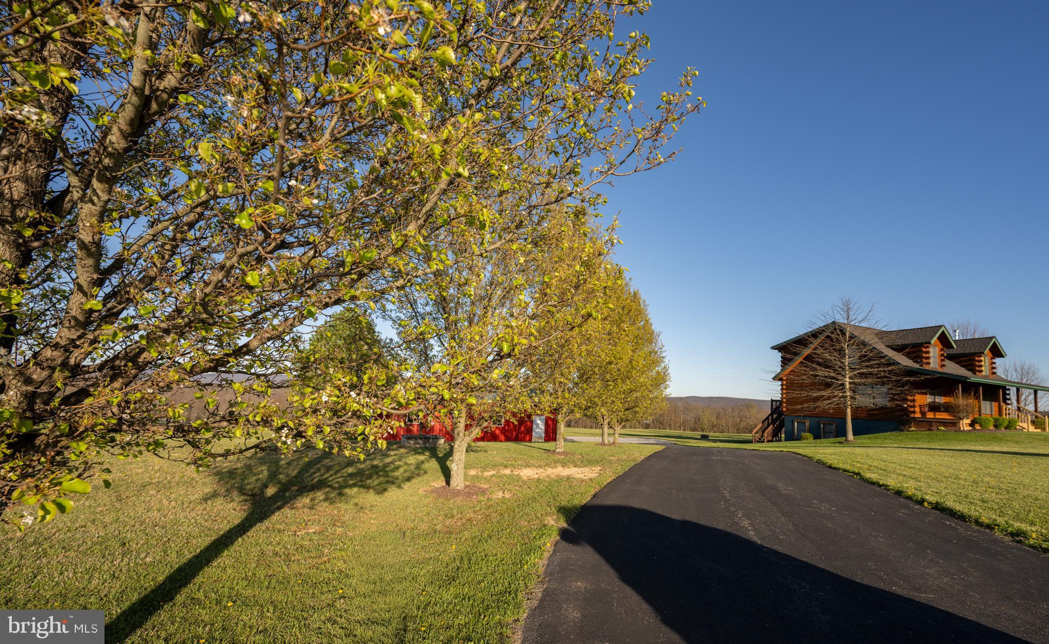 4076 Blooming Rose Road Friendsville, MD 21531 - Photo 68 of 69