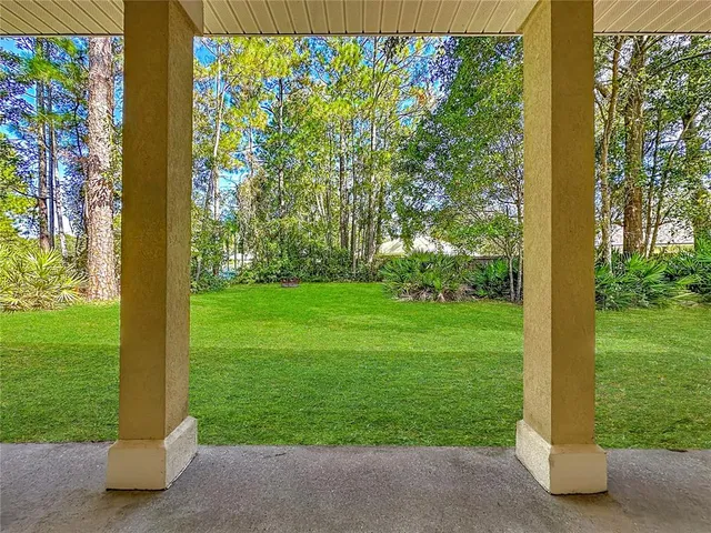 a view of garden with plants