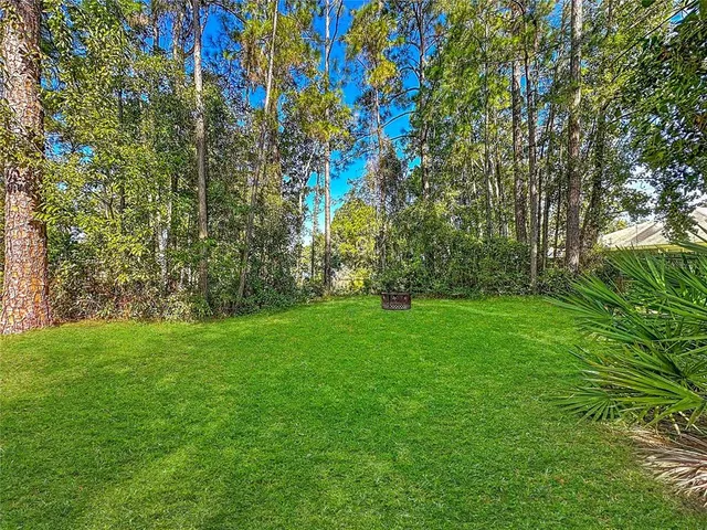 a view of yard with green space