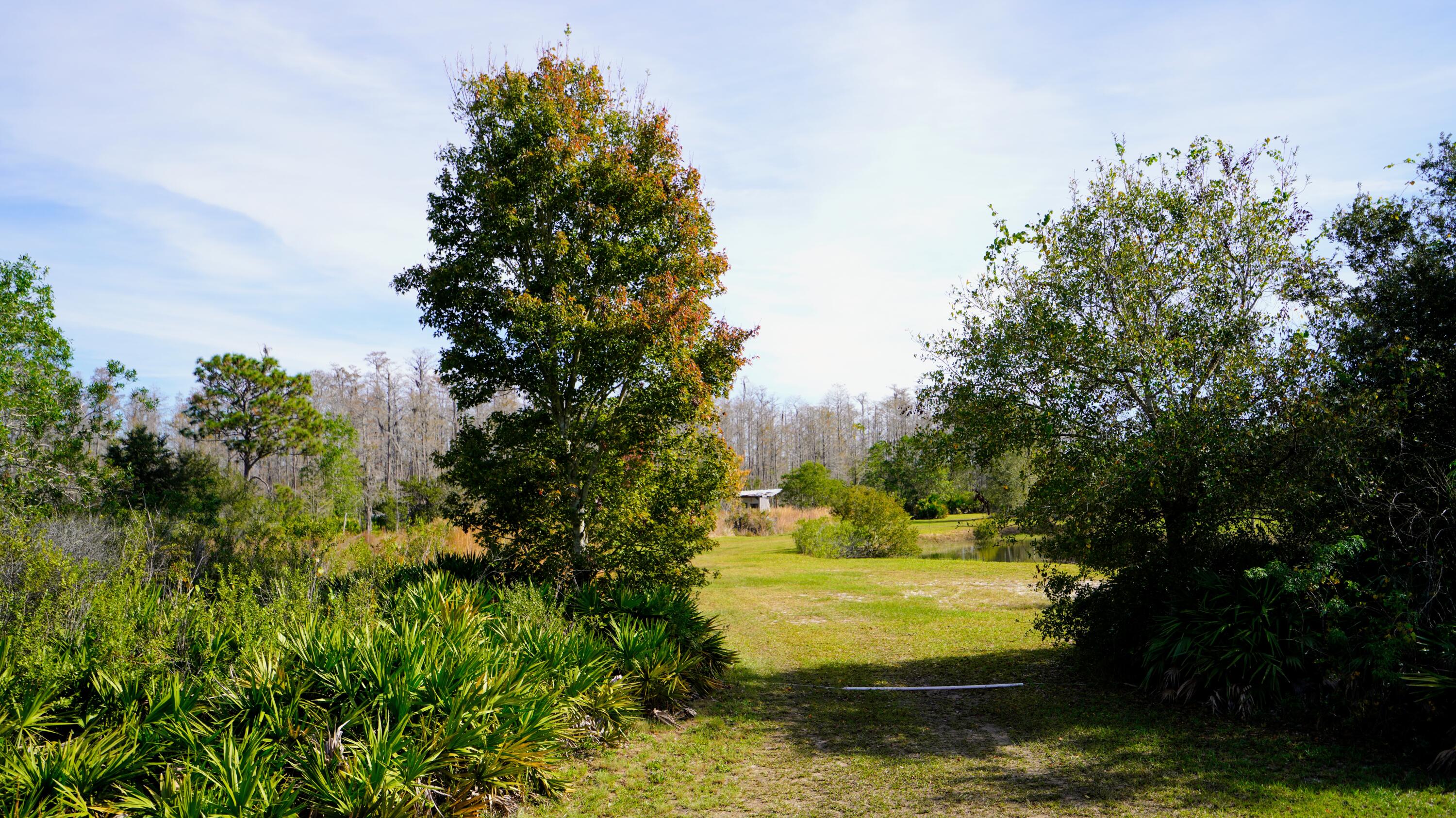 1224001 Holopaw Groves Rd Street St. Cloud, FL 34773 - Photo 11 of 99 a view of a yard with plants