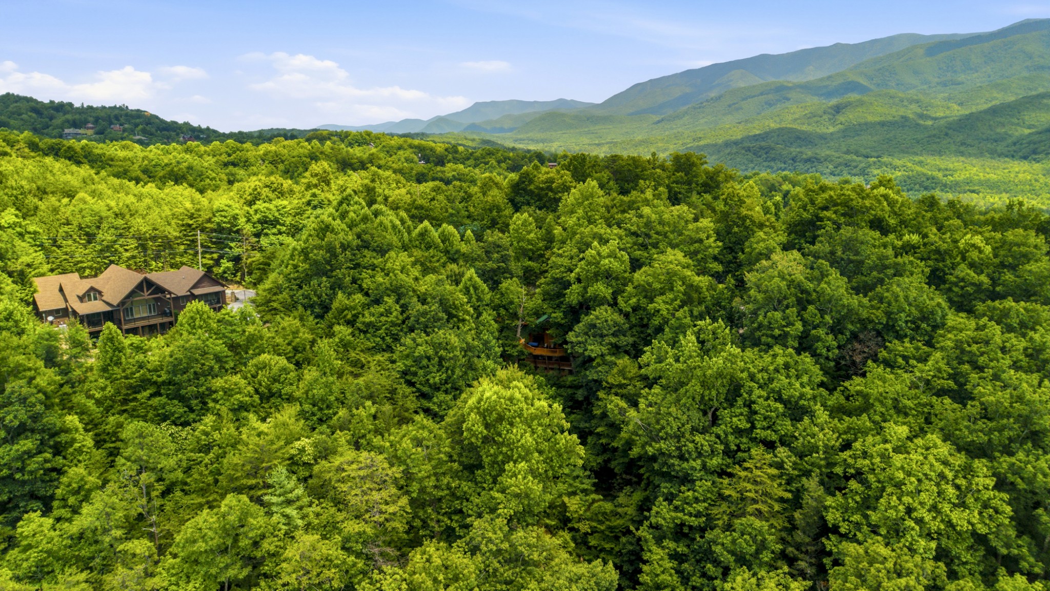 820 Pinnacle Vista Road Gatlinburg, TN 37738 - Photo 3 of 31