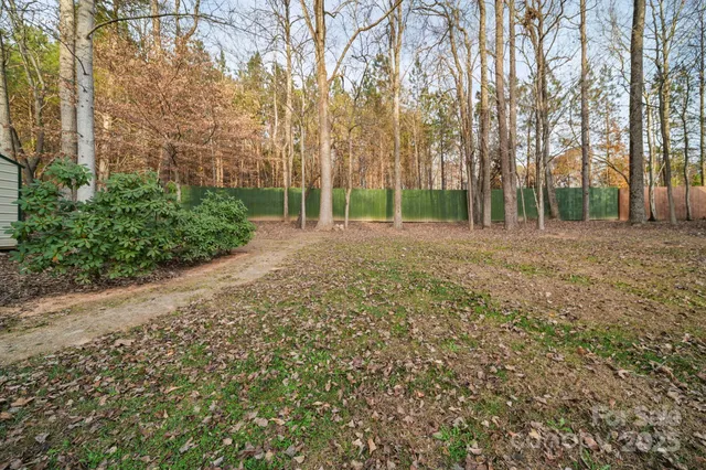 a view of dirt yard with green space