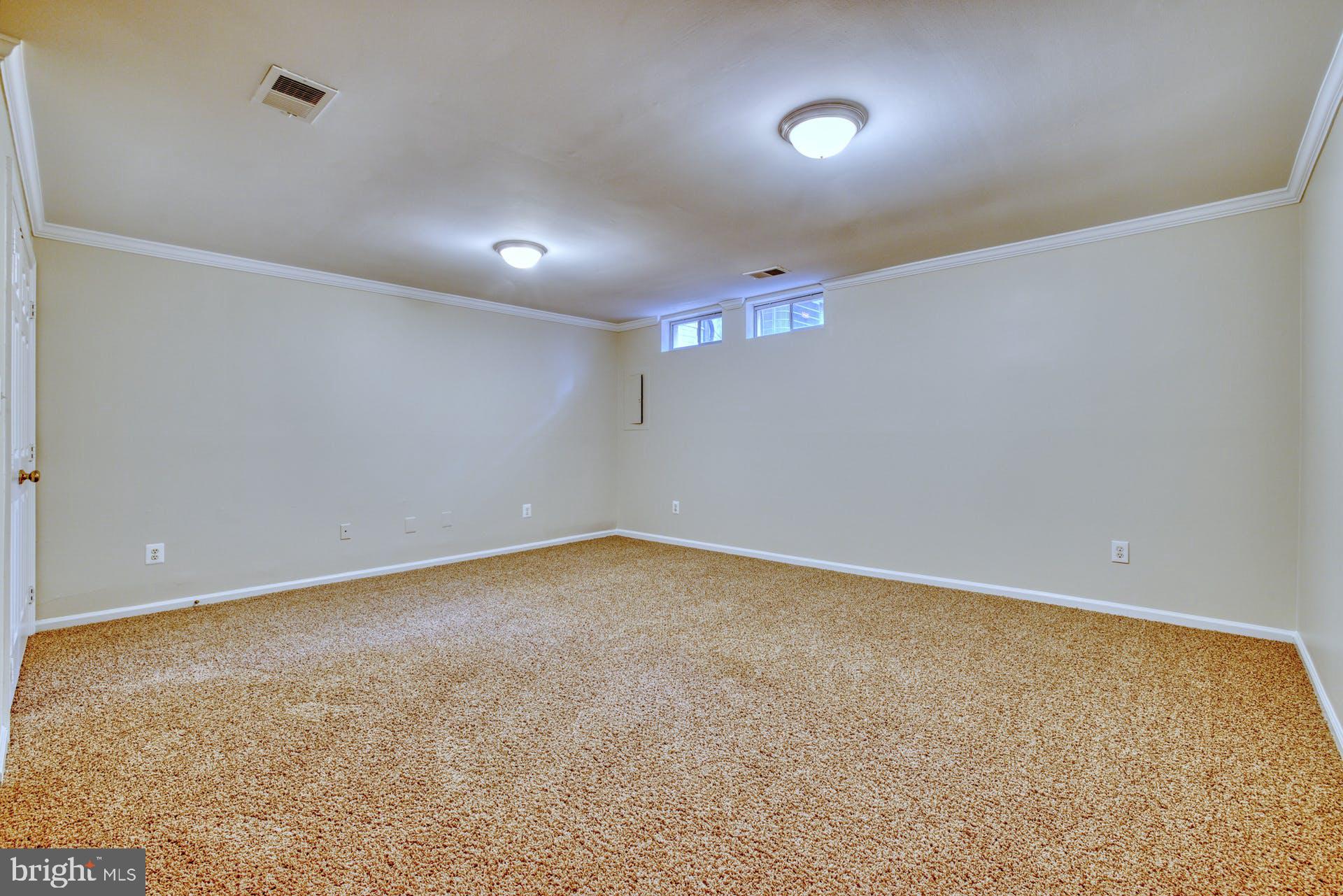 11482 Heritage Commons Way Reston, VA 20194 - Photo 25 of 32 Lower level