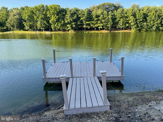375 Perkintown Road Pedricktown, NJ 08067 - Photo 7 of 29 Private dock to spring fed lake