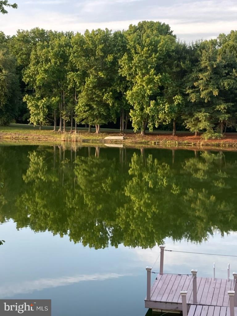 375 Perkintown Road Pedricktown, NJ 08067 - Photo 8 of 29 Spring fed lake