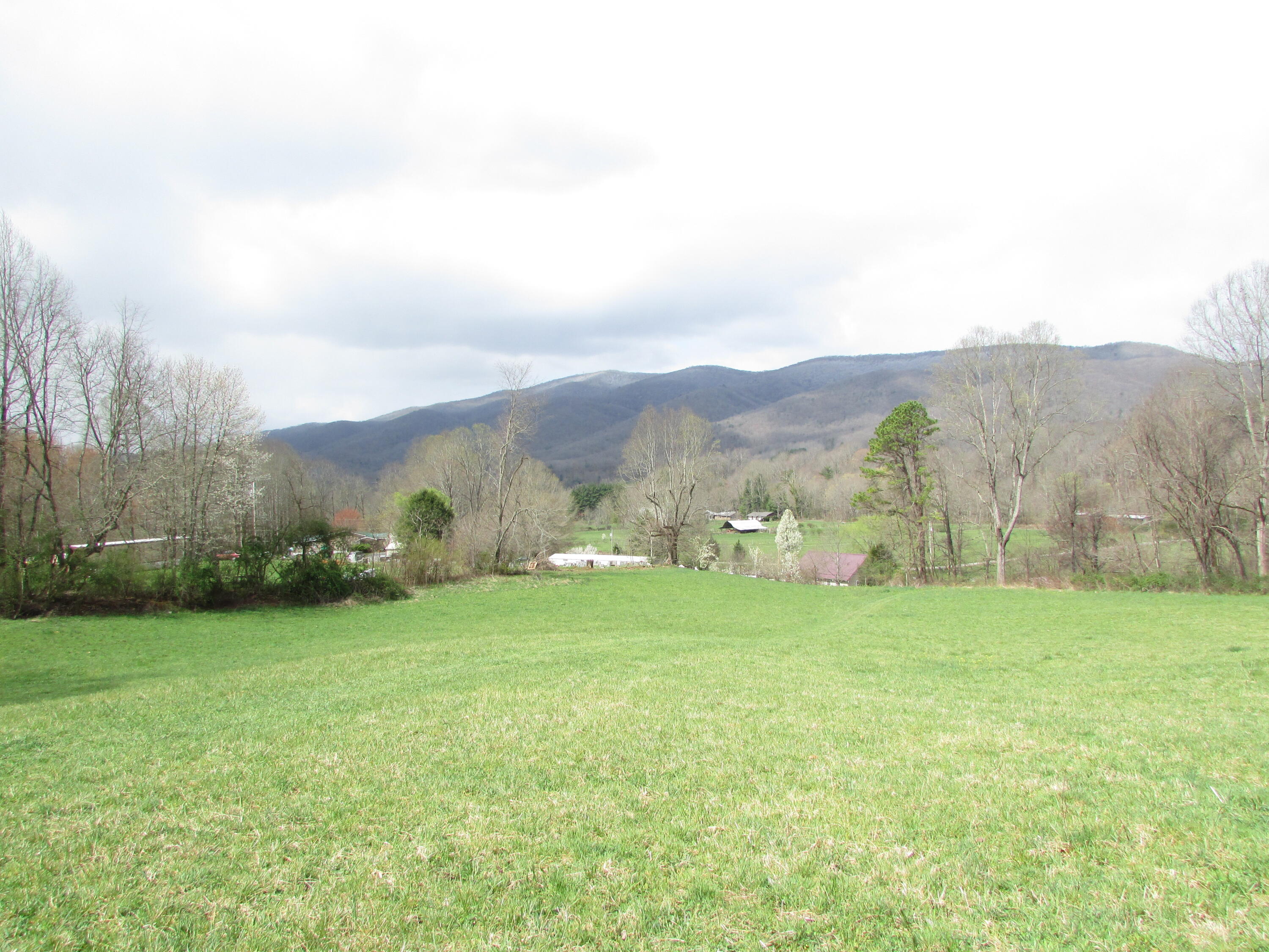 Tbd Taylor Hollow Road Elizabethton, TN 37643 - Photo 1 of 42 taylor hollow road elizabethton tn 37643