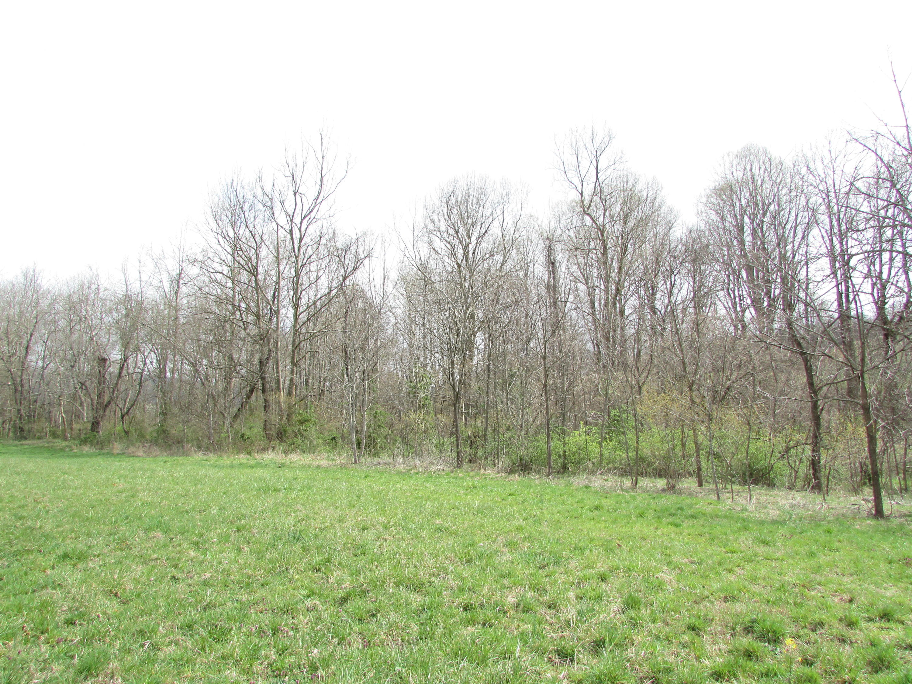 Tbd Taylor Hollow Road Elizabethton, TN 37643 - Photo 11 of 42 taylor hollow road elizabethton tn 37643