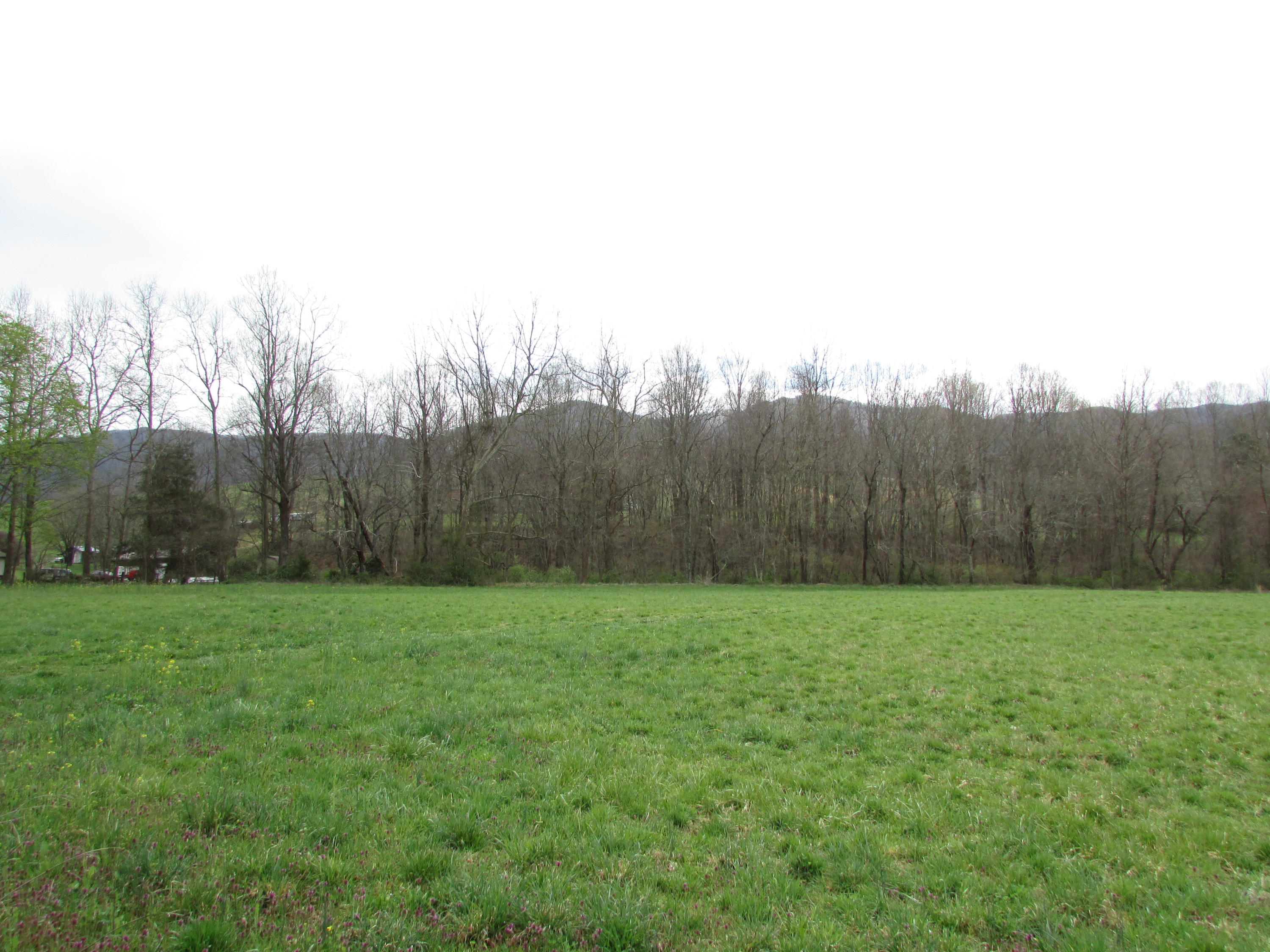 Tbd Taylor Hollow Road Elizabethton, TN 37643 - Photo 15 of 42 taylor hollow road elizabethton tn 37643
