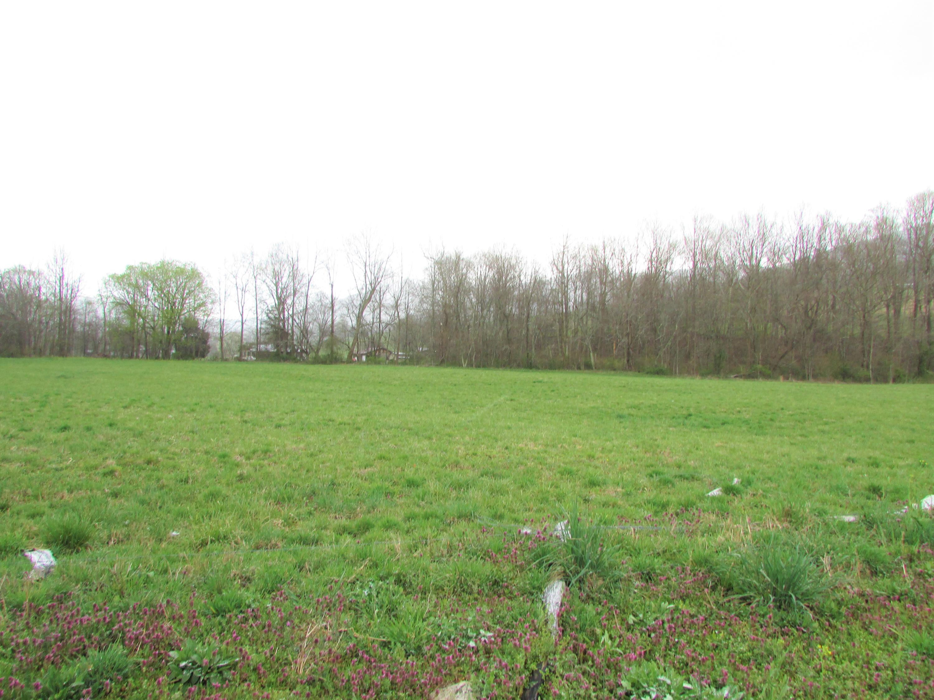 Tbd Taylor Hollow Road Elizabethton, TN 37643 - Photo 16 of 42 taylor hollow road elizabethton tn 37643
