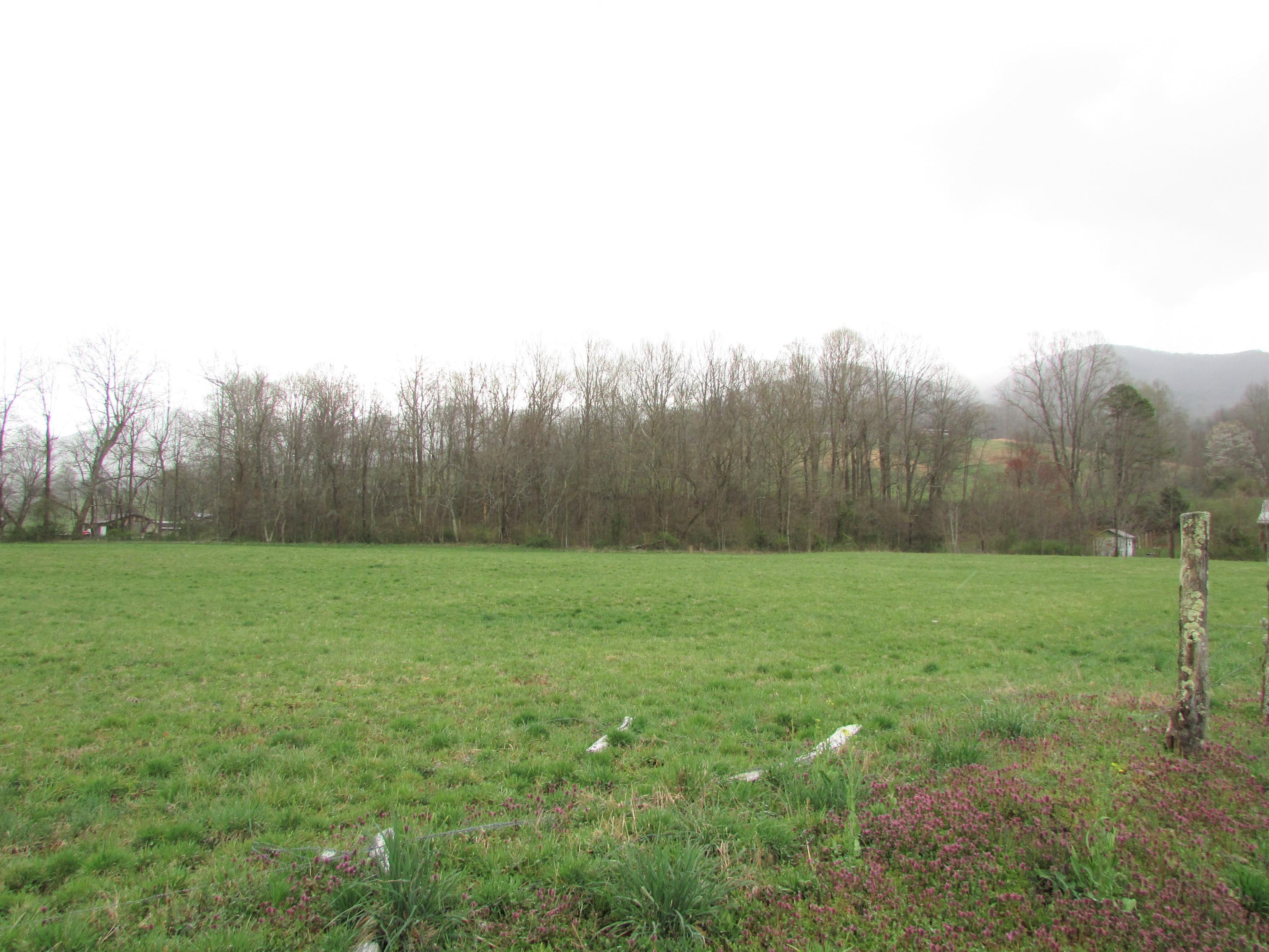 Tbd Taylor Hollow Road Elizabethton, TN 37643 - Photo 18 of 42 taylor hollow road elizabethton tn 37643
