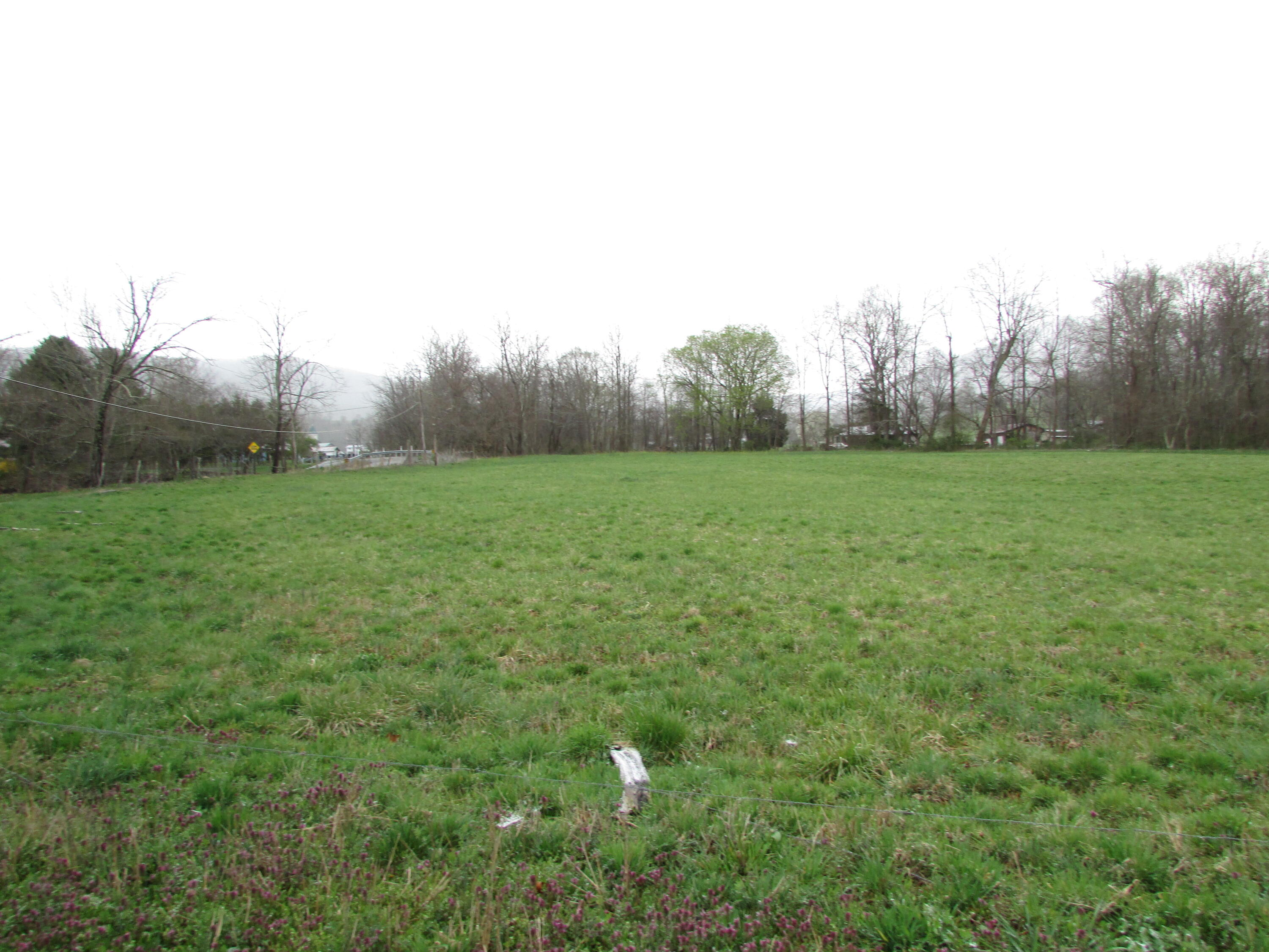Tbd Taylor Hollow Road Elizabethton, TN 37643 - Photo 20 of 42 taylor hollow road elizabethton tn 37643