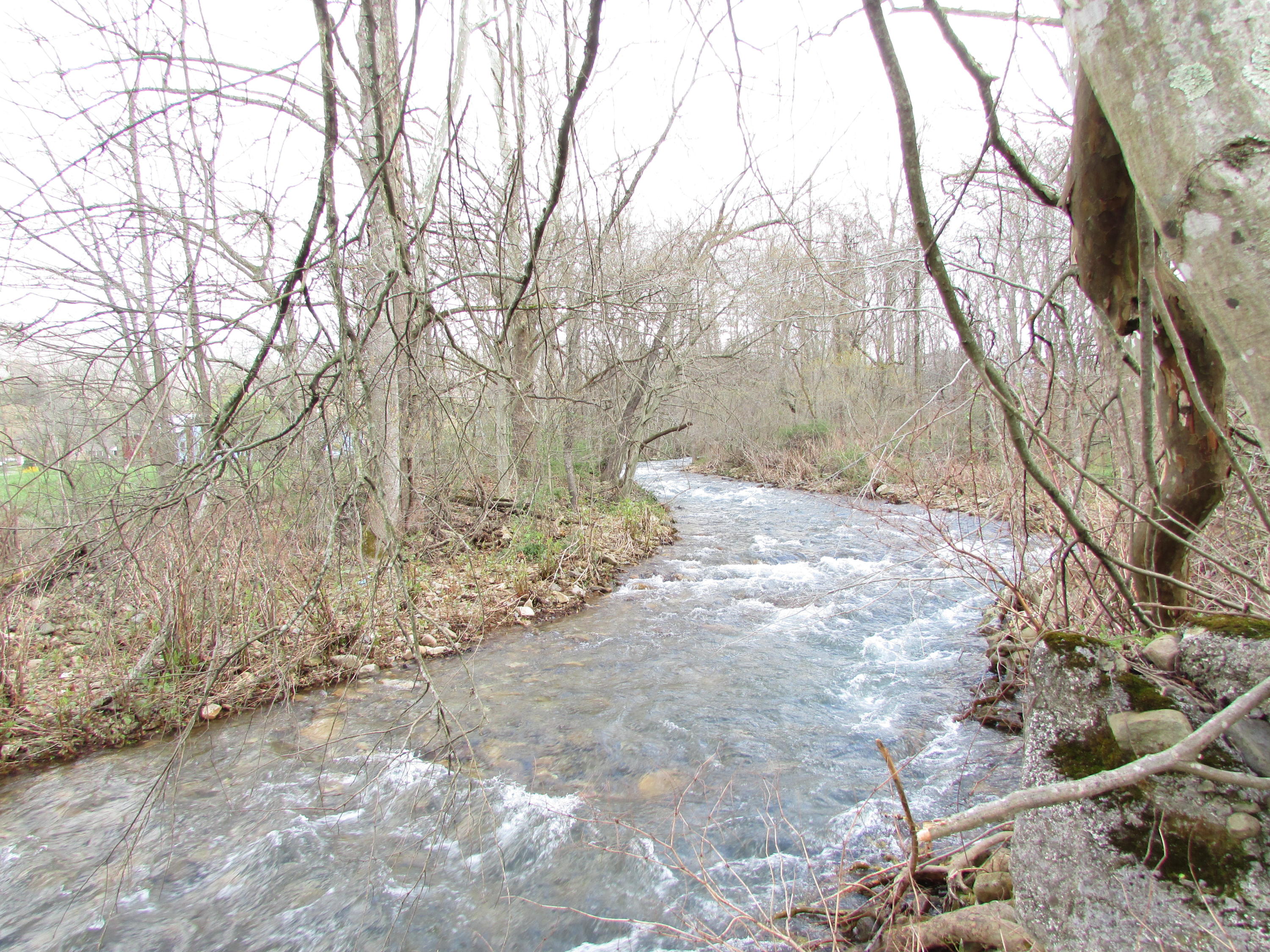 Tbd Taylor Hollow Road Elizabethton, TN 37643 - Photo 2 of 42 taylor hollow road elizabethton tn 37643