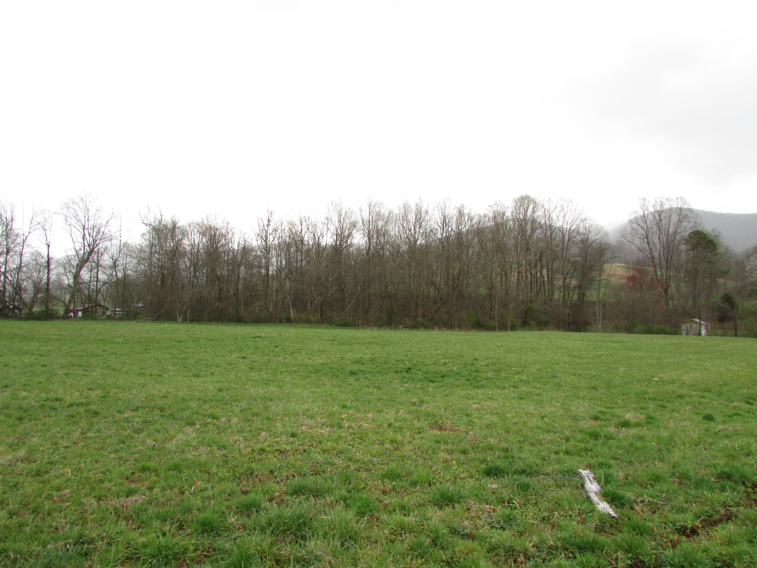 Tbd Taylor Hollow Road Elizabethton, TN 37643 - Photo 22 of 42 taylor hollow road elizabethton tn 37643