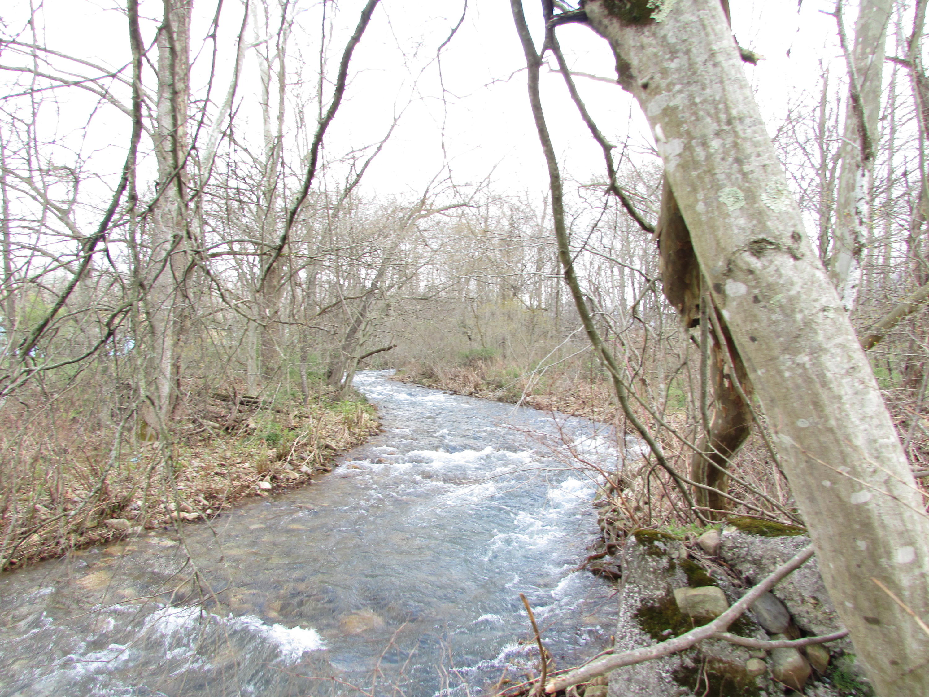 Tbd Taylor Hollow Road Elizabethton, TN 37643 - Photo 25 of 42 taylor hollow road elizabethton tn 37643