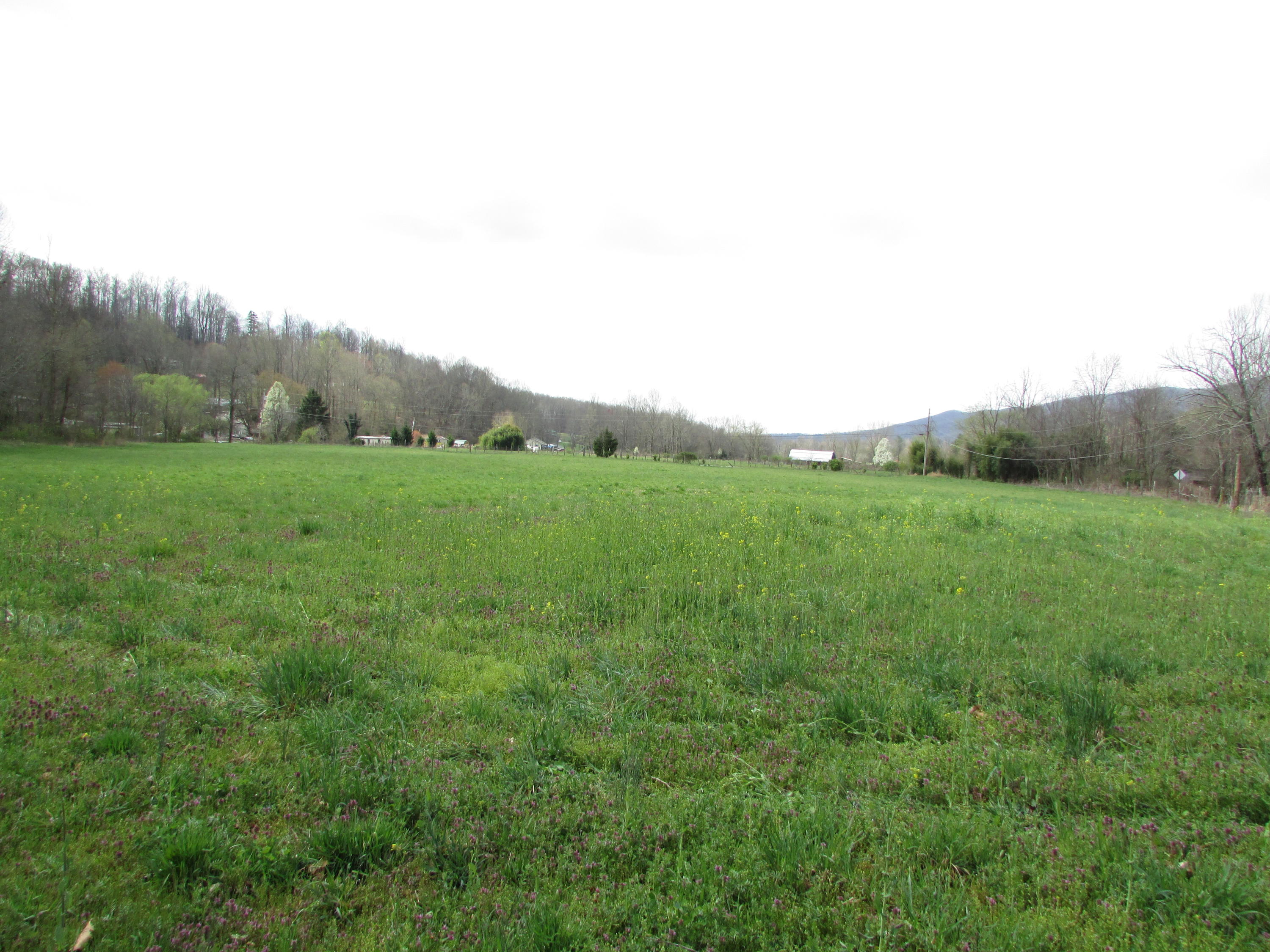 Tbd Taylor Hollow Road Elizabethton, TN 37643 - Photo 26 of 42 taylor hollow road elizabethton tn 37643