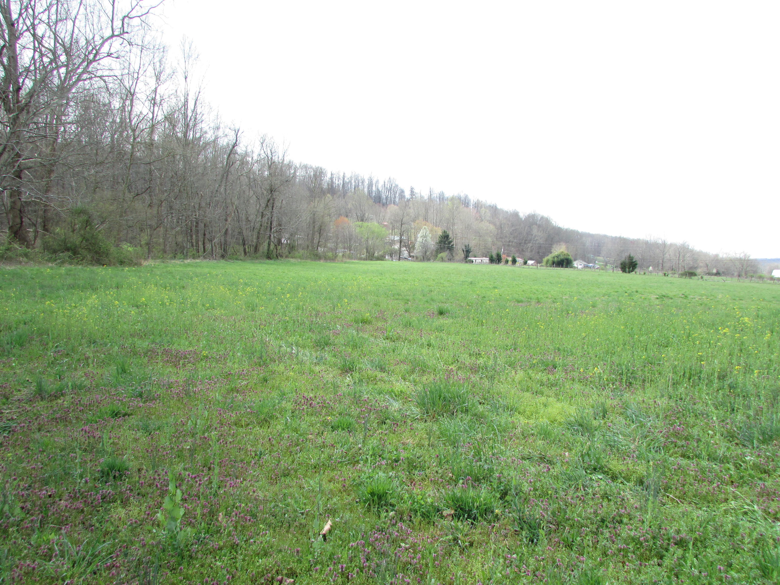 Tbd Taylor Hollow Road Elizabethton, TN 37643 - Photo 27 of 42 taylor hollow road elizabethton tn 37643