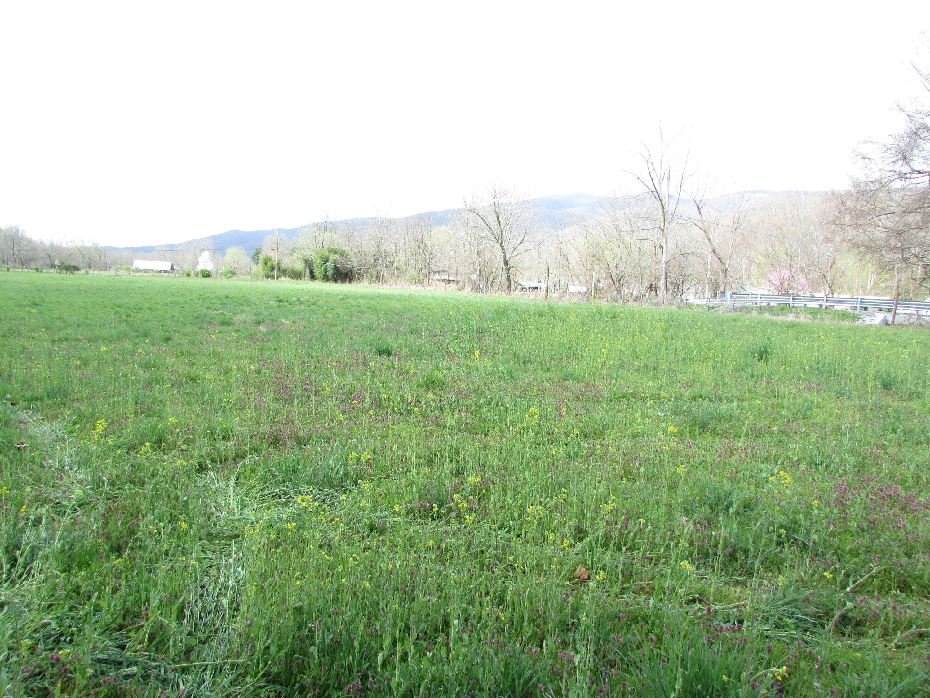 Tbd Taylor Hollow Road Elizabethton, TN 37643 - Photo 28 of 42 taylor hollow road elizabethton tn 37643