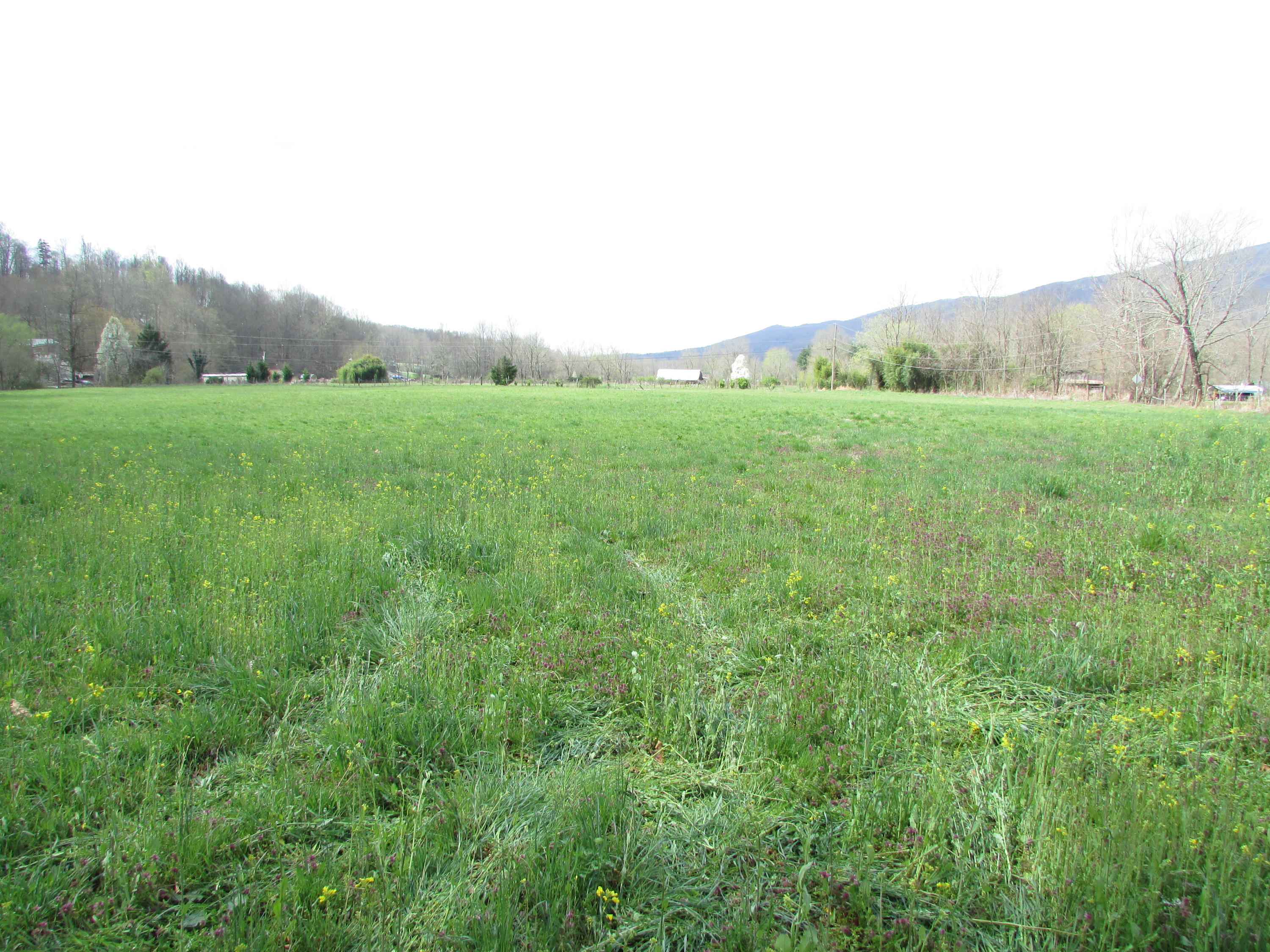 Tbd Taylor Hollow Road Elizabethton, TN 37643 - Photo 29 of 42 taylor hollow road elizabethton tn 37643