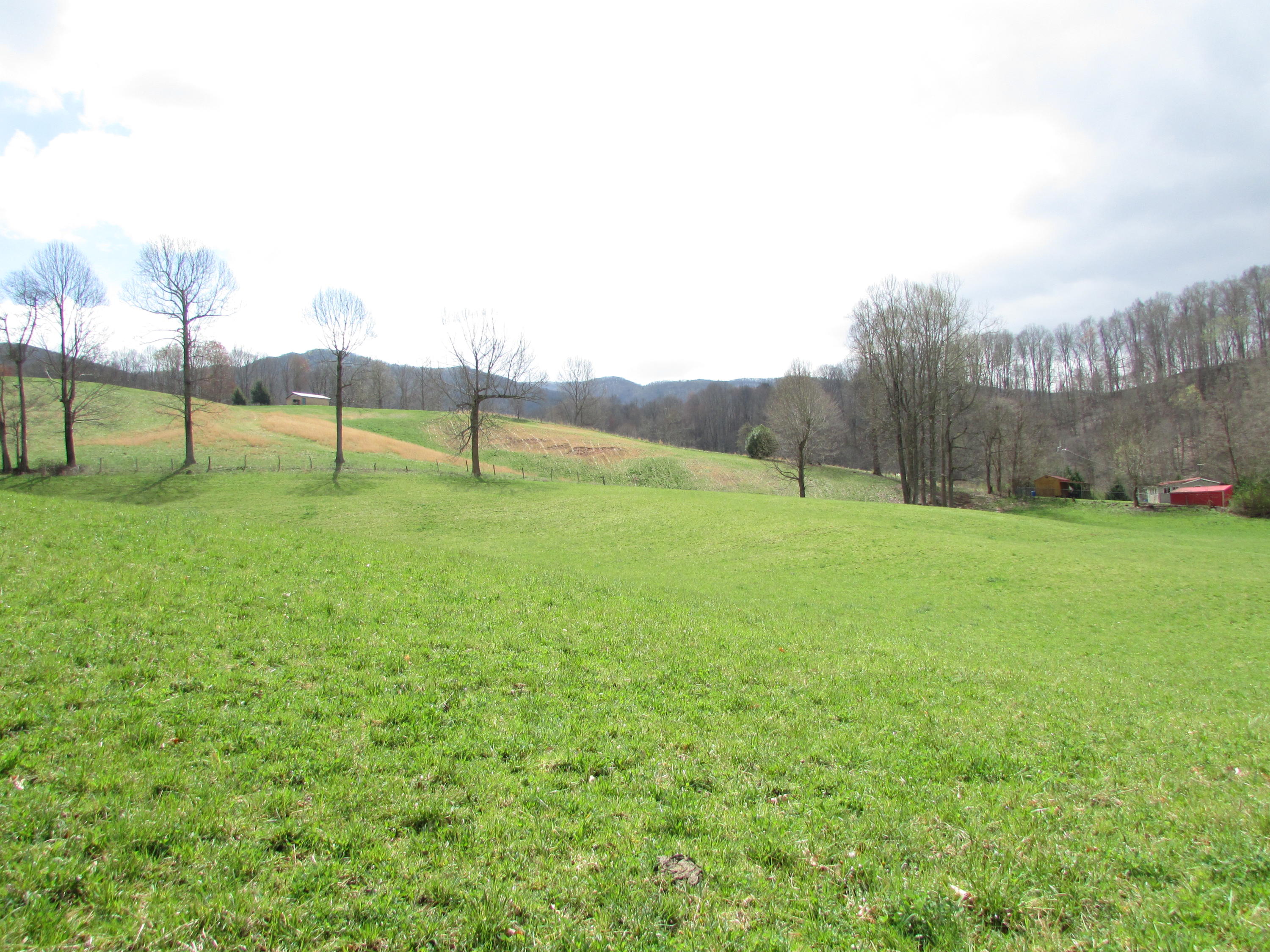 Tbd Taylor Hollow Road Elizabethton, TN 37643 - Photo 3 of 42 taylor hollow road elizabethton tn 37643