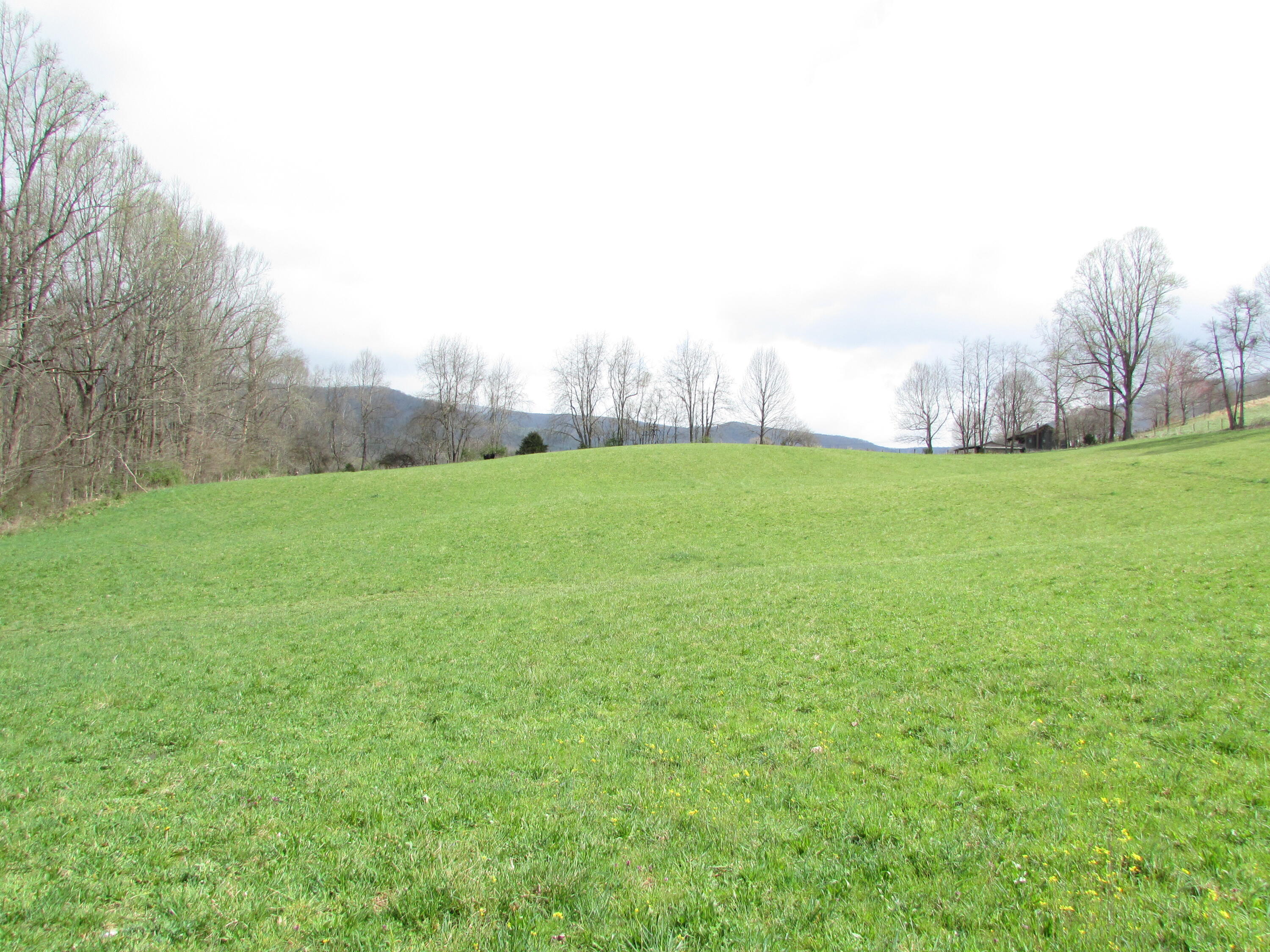 Tbd Taylor Hollow Road Elizabethton, TN 37643 - Photo 32 of 42 taylor hollow road elizabethton tn 37643