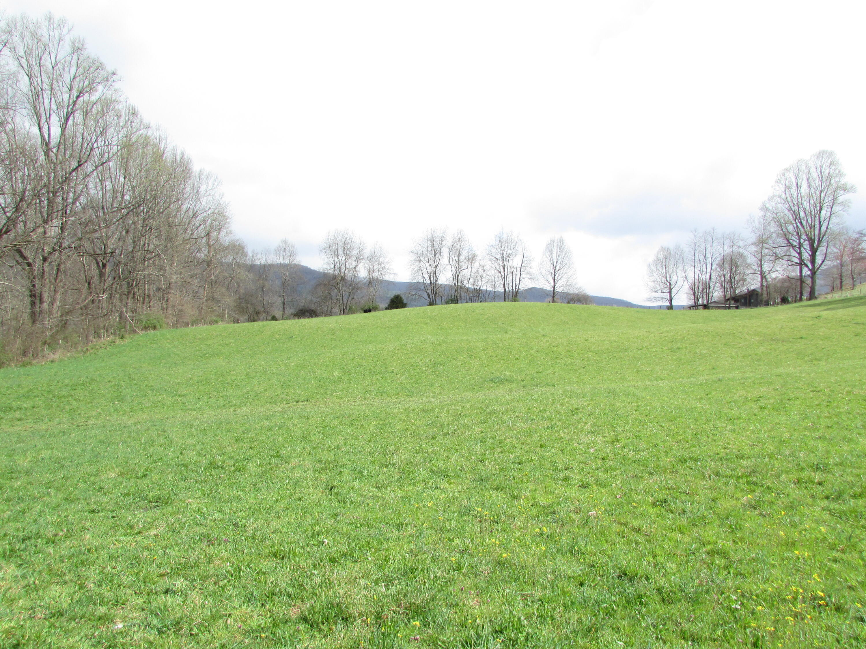 Tbd Taylor Hollow Road Elizabethton, TN 37643 - Photo 33 of 42 taylor hollow road elizabethton tn 37643