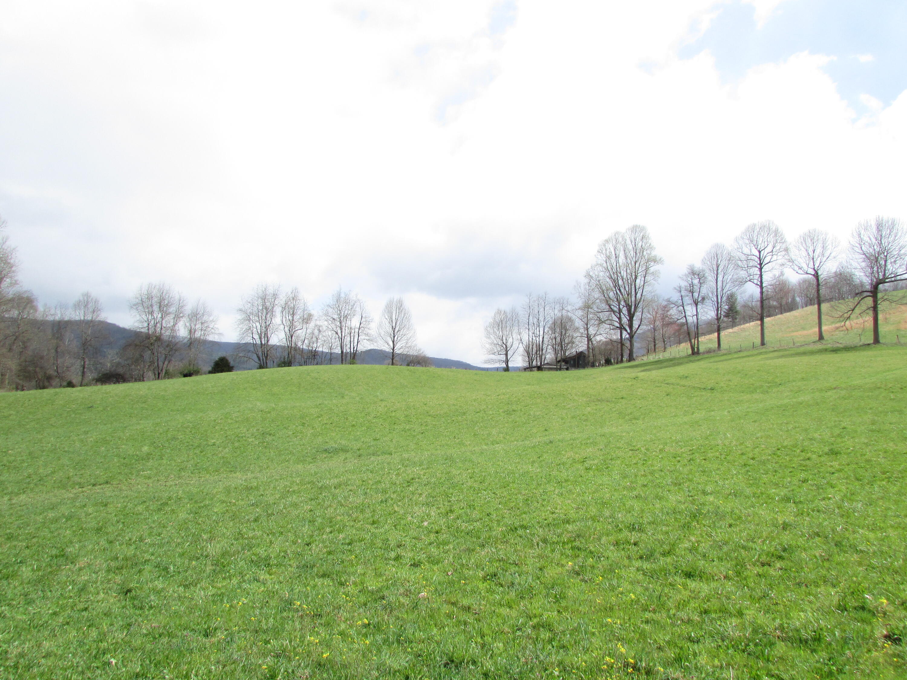 Tbd Taylor Hollow Road Elizabethton, TN 37643 - Photo 34 of 42 taylor hollow road elizabethton tn 37643