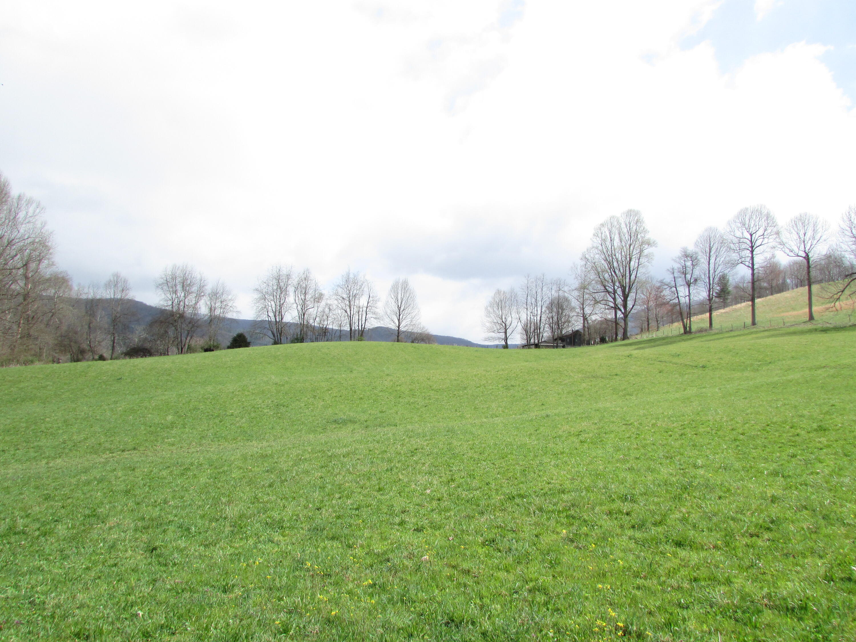Tbd Taylor Hollow Road Elizabethton, TN 37643 - Photo 35 of 42 taylor hollow road elizabethton tn 37643