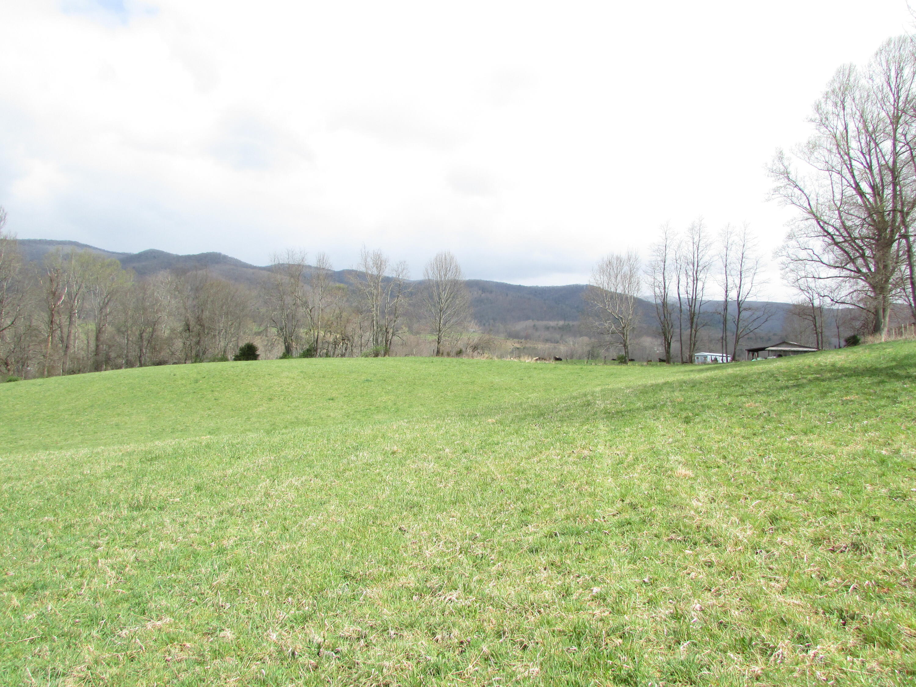 Tbd Taylor Hollow Road Elizabethton, TN 37643 - Photo 36 of 42 taylor hollow road elizabethton tn 37643